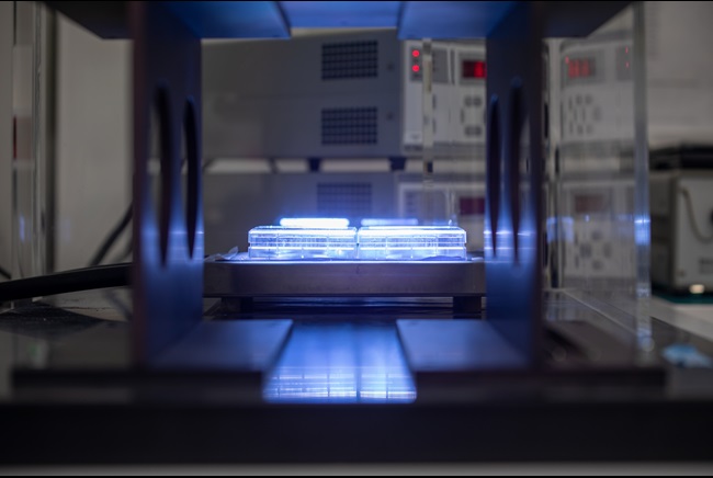 UV Simulator at EPISKIN