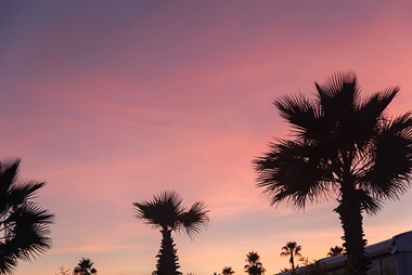 IFSCC Congress in Cannes at sunset