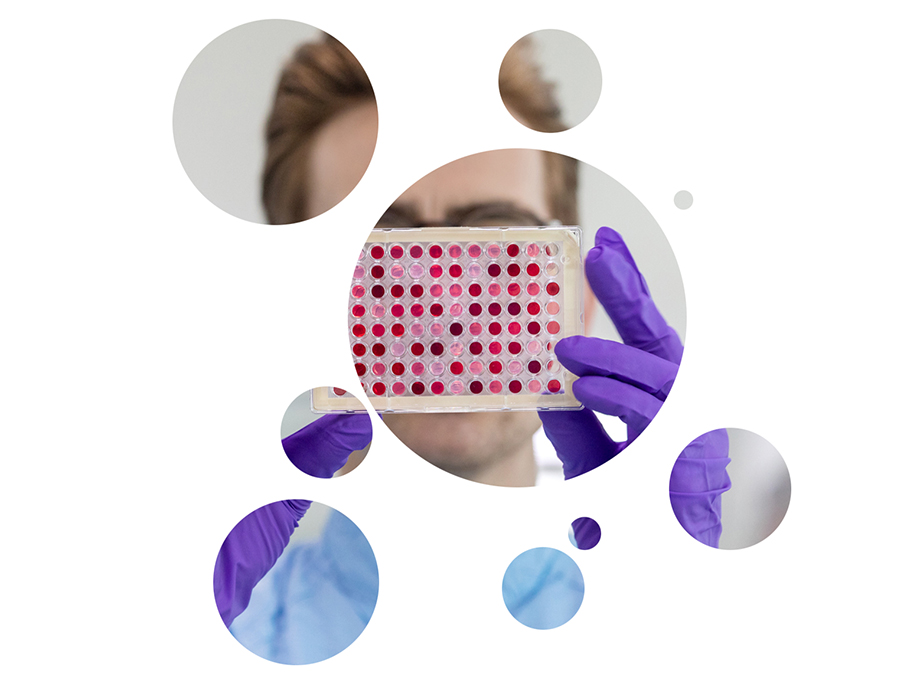 News Innovation Challenge India