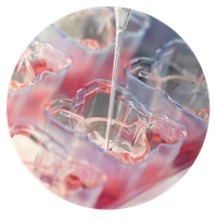 Innovation Challenge Tissue Engineering