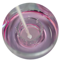 EPISKIN Innovation Challenge Alternative Methods