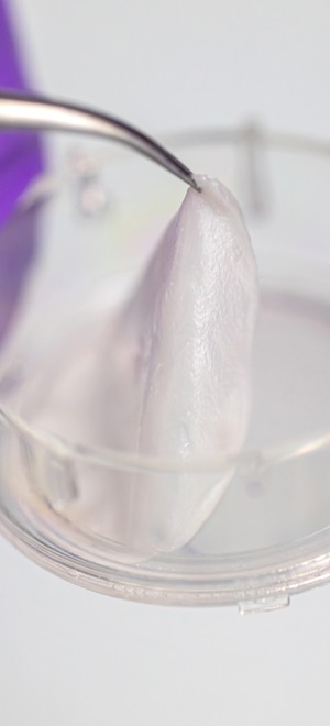 SkinEthic Reconstructed Skin