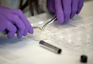 Training sessions 2023