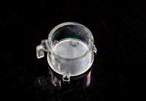 SkinEthic RHE 1cm² format