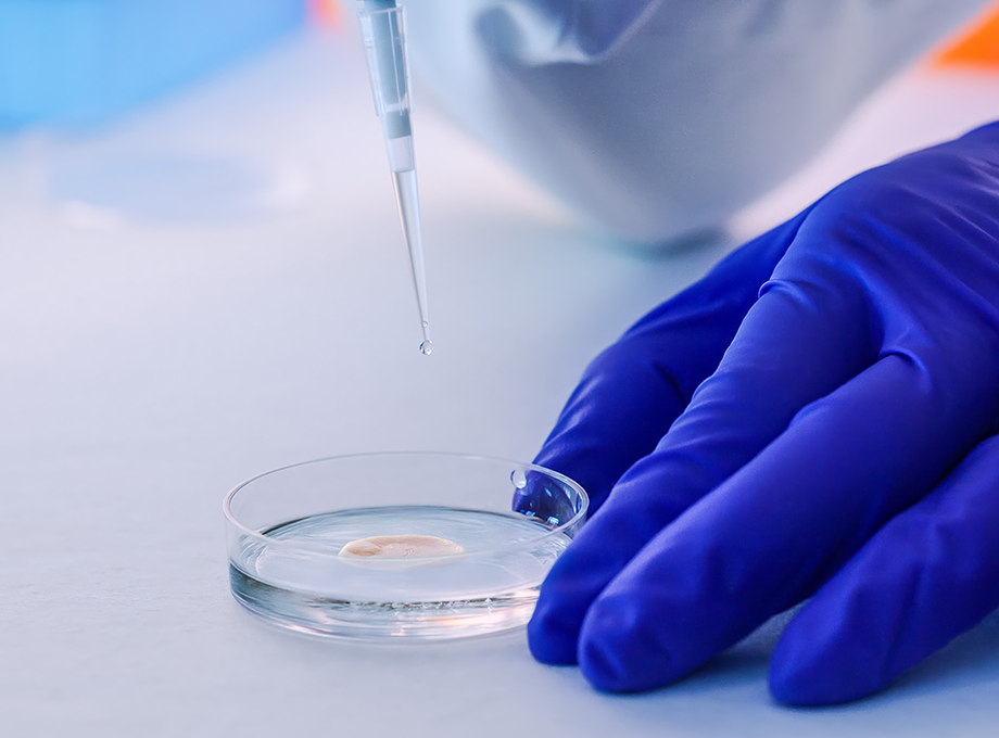 LOreal EPISKIN Human Skin