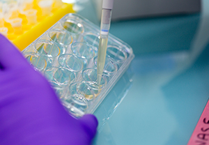 Are you biocompatible?