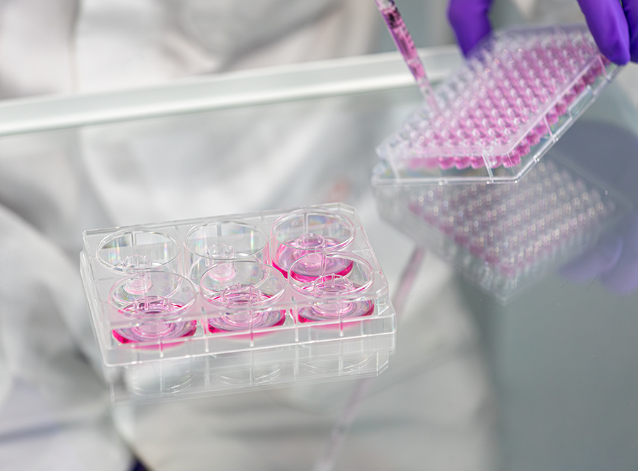 About Us Regulatory Context